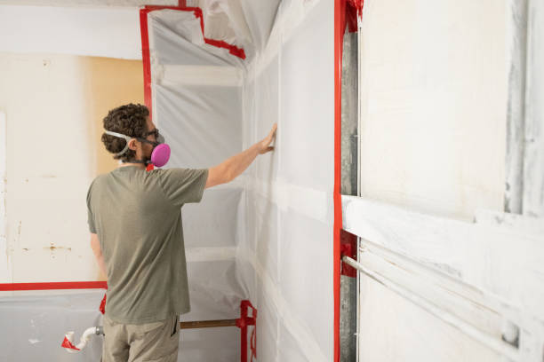 Professional Mold Removal in Loop, PA